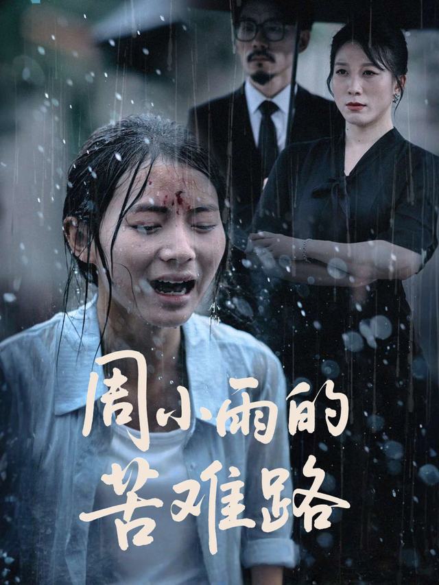 周小雨的苦难路封面