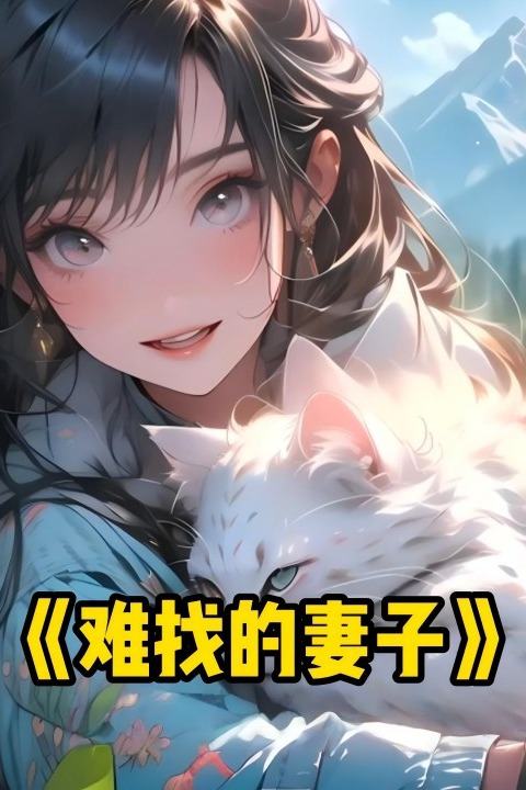 难找的妻子封面