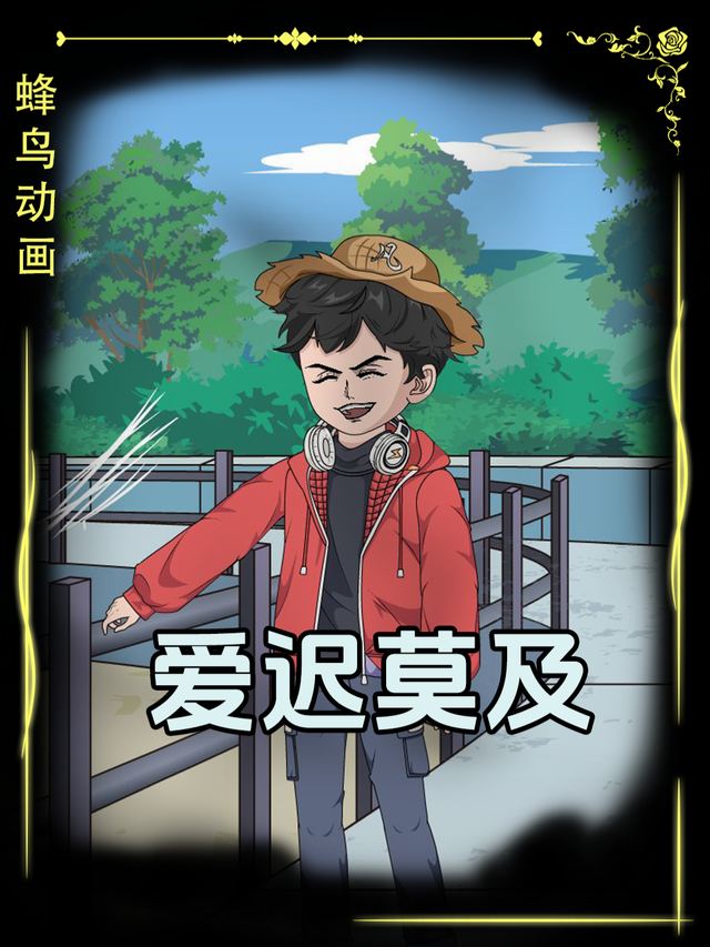 爱迟莫及封面