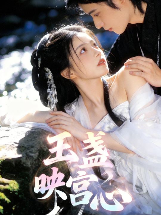 玉盏映宫心封面