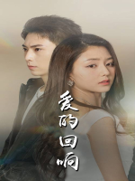 爱的回响封面