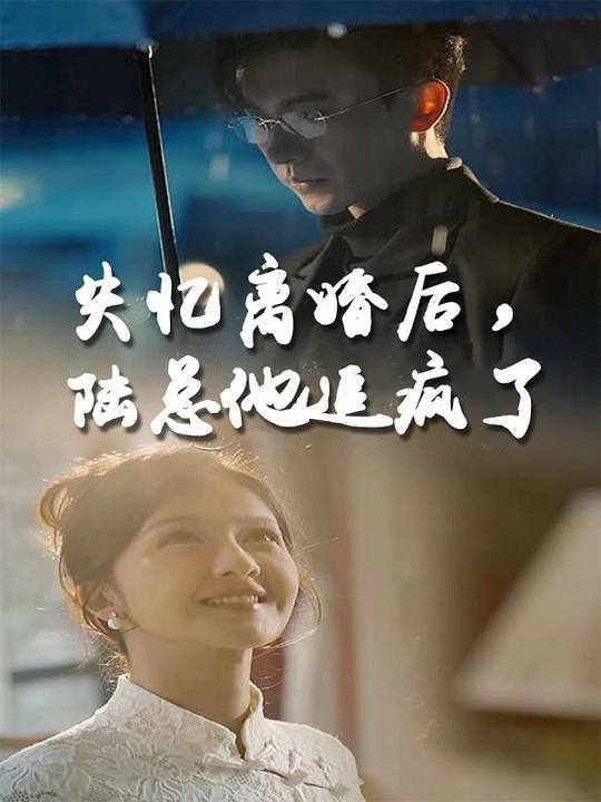 失忆离婚后，陆总他追疯了封面