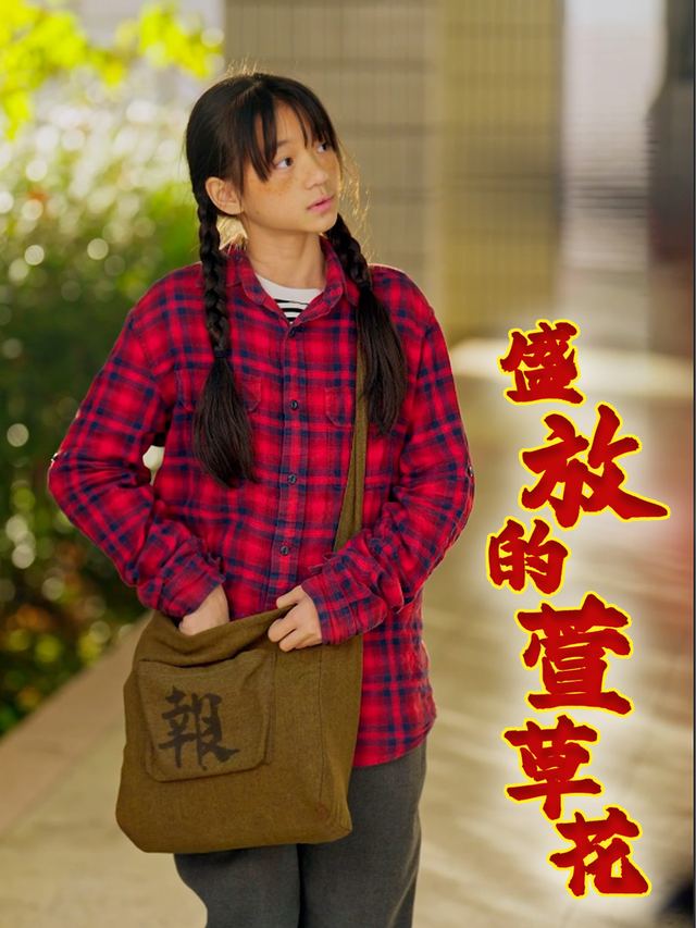 盛放的萱草花封面