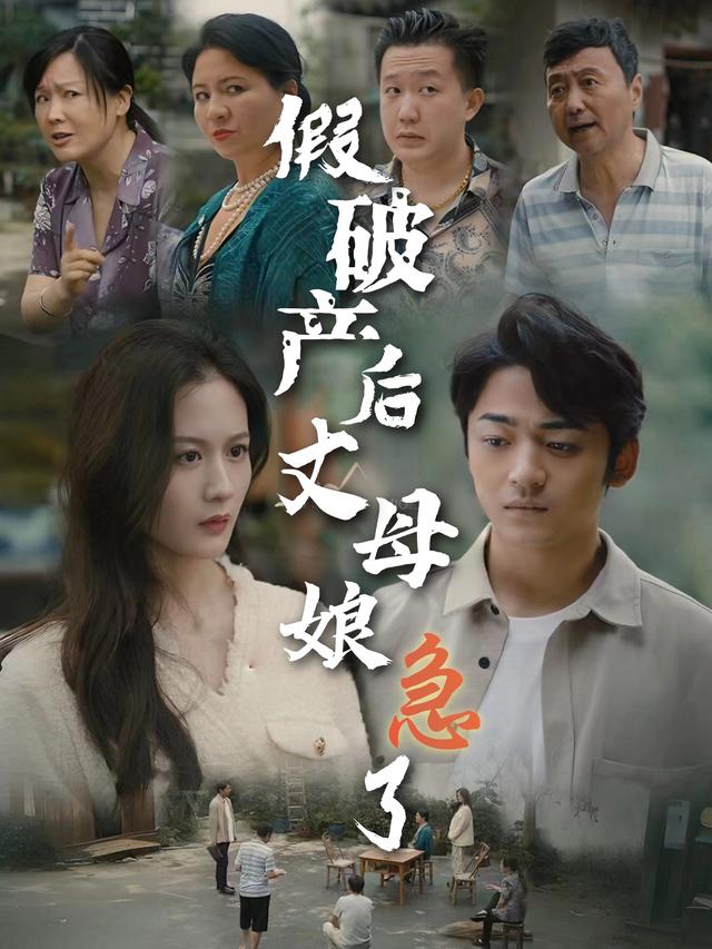 假破产后丈母娘急了封面