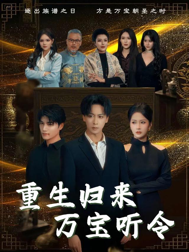 重生归来万宝听令封面