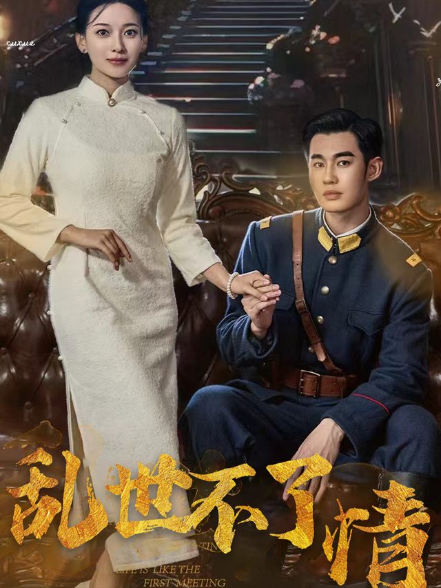 乱世不了情封面