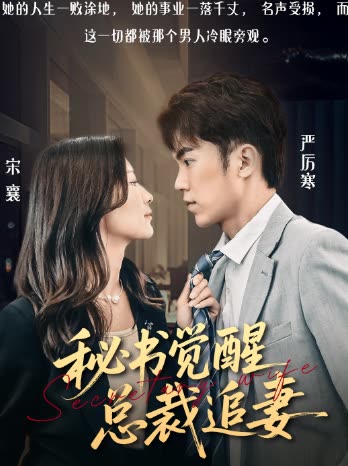 秘书觉醒总裁追妻封面