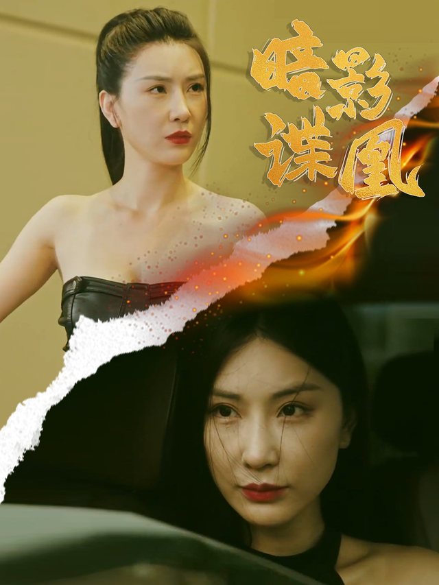 暗影谍凰封面