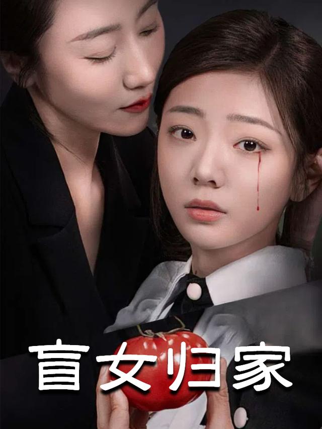 盲女归家封面