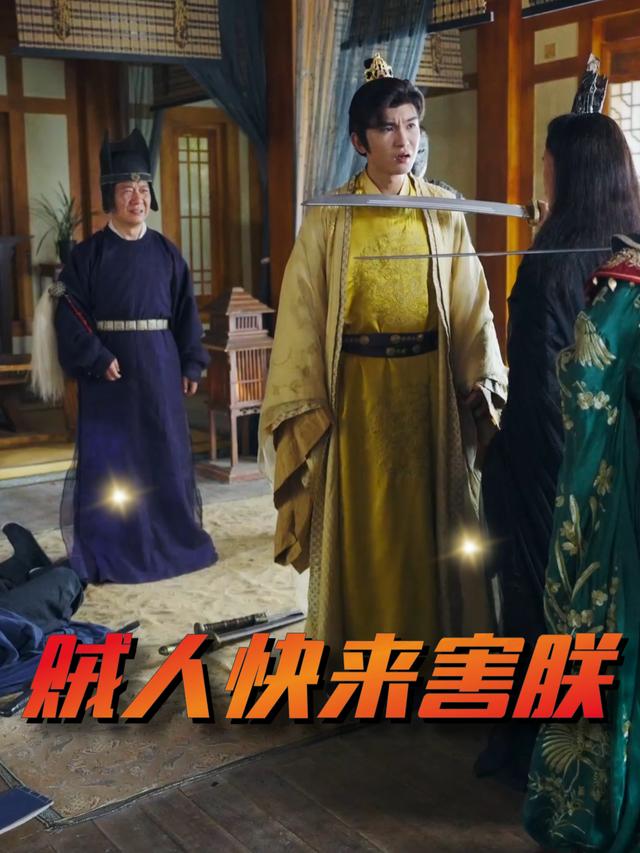 贼人快来害朕封面