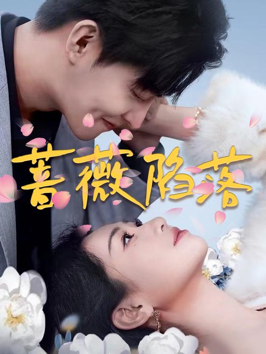 蔷薇陷落封面