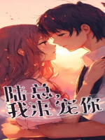 陆少我来宠你封面