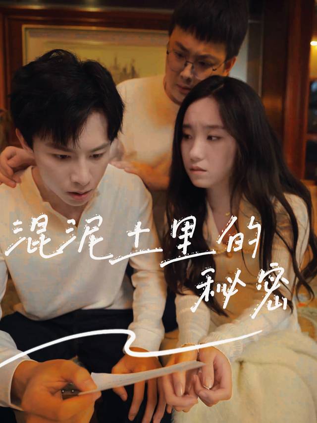 混泥土里的秘密封面