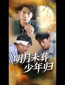 明月未葬少年归封面