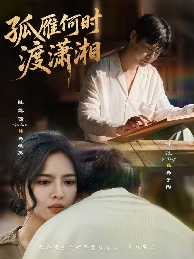 孤雁何时渡潇湘封面