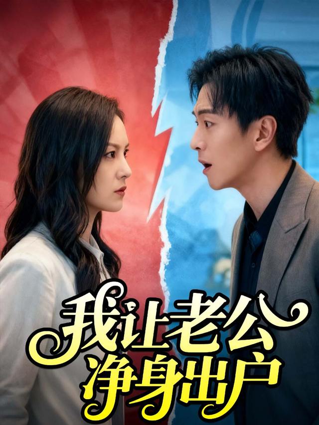 我让老公净身出户封面