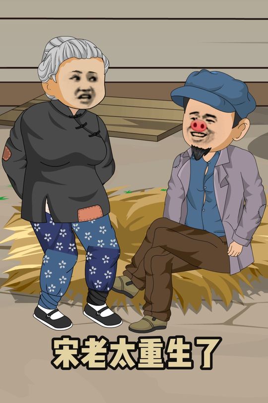 宋老太重生了封面