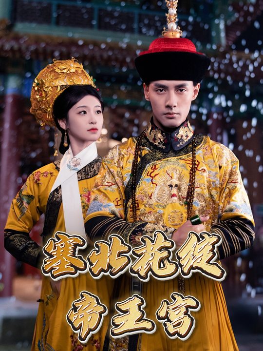塞北花绽帝王宫封面