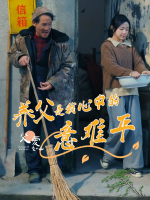 养父是我心中的意难平封面
