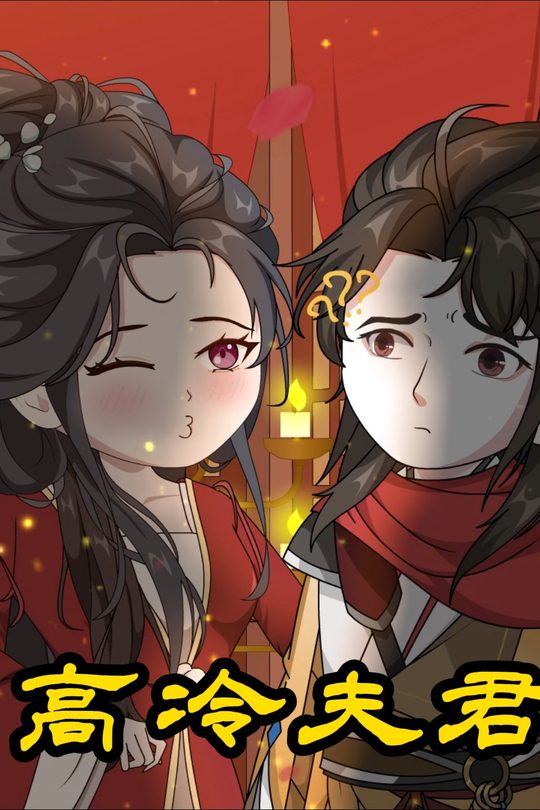 高冷夫君封面