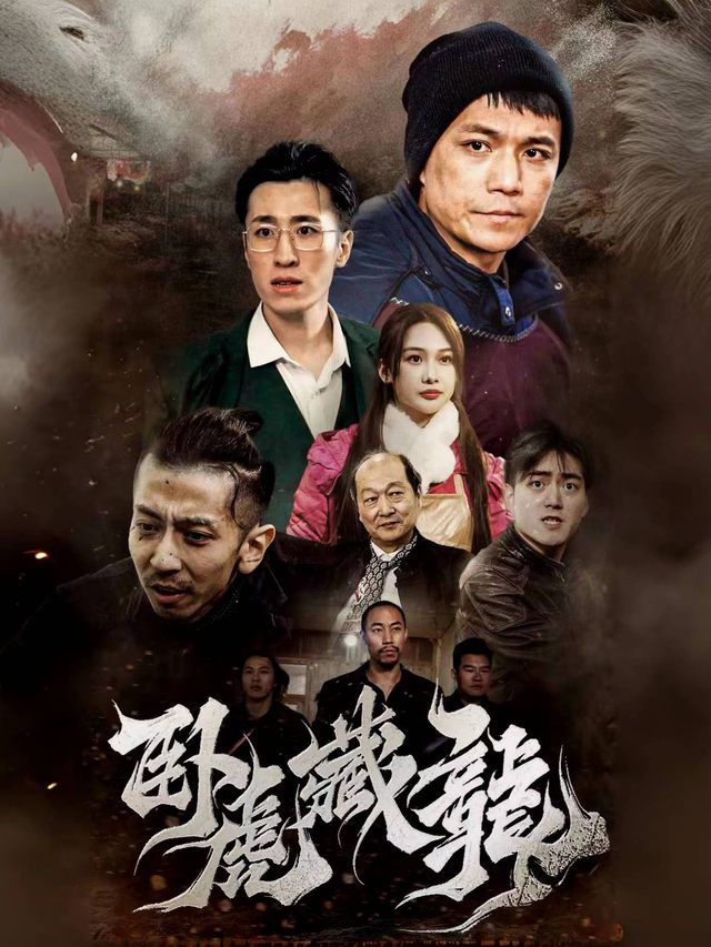 风云之卧虎藏龙封面