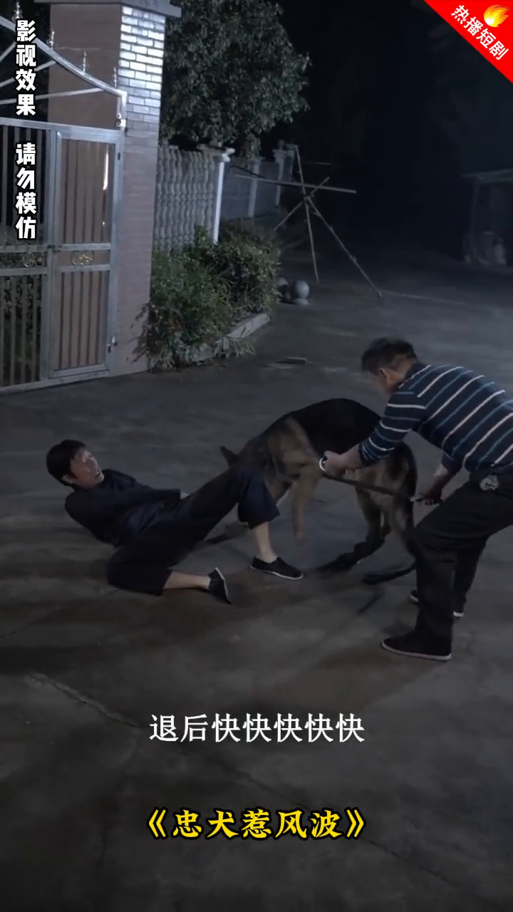 忠犬惹风波封面