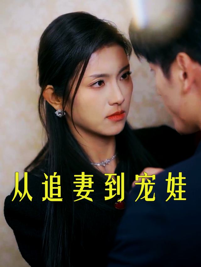 从追妻到宠娃封面