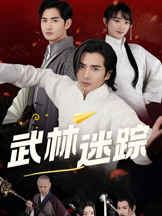 武林迷踪封面