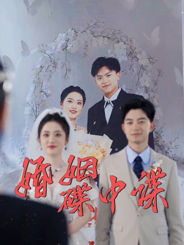婚姻碟中谍封面