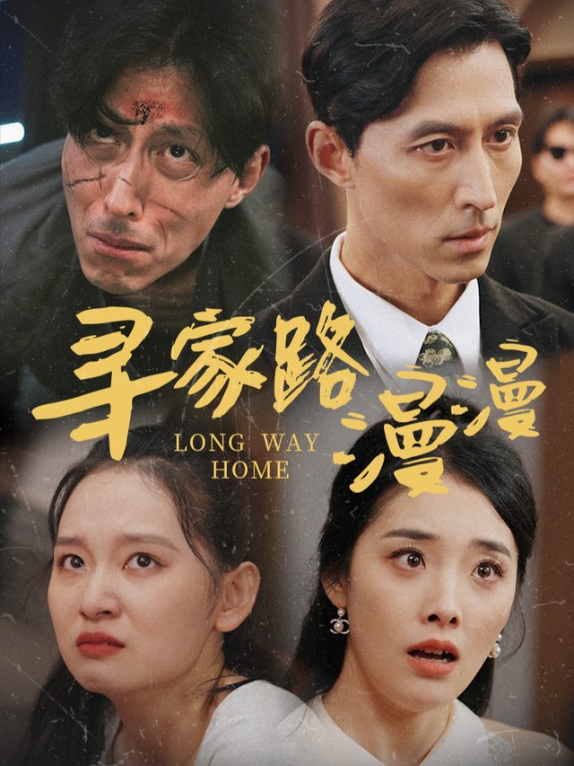 寻家路漫漫封面