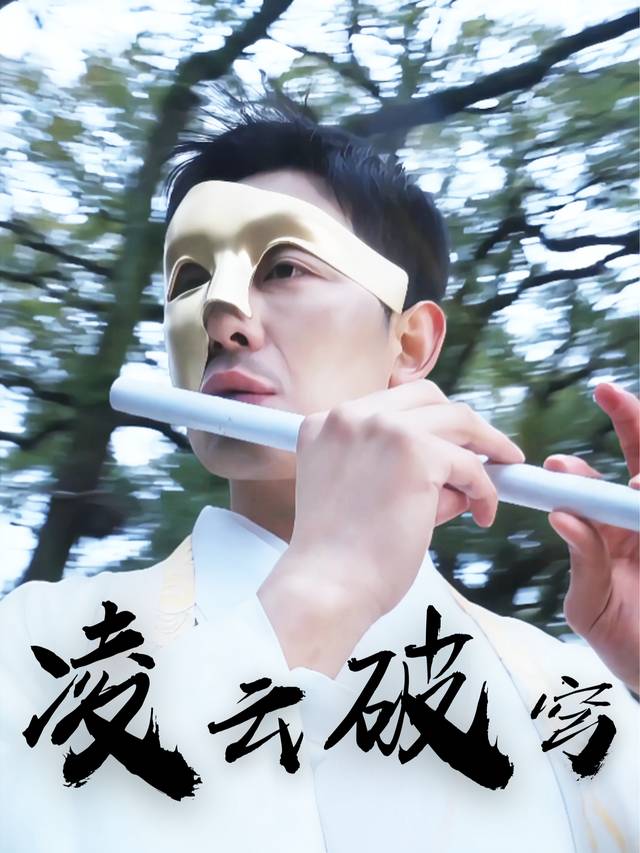 凌云破穹封面