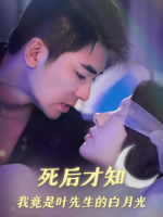 死后才知,我竟是叶先生的白月光封面