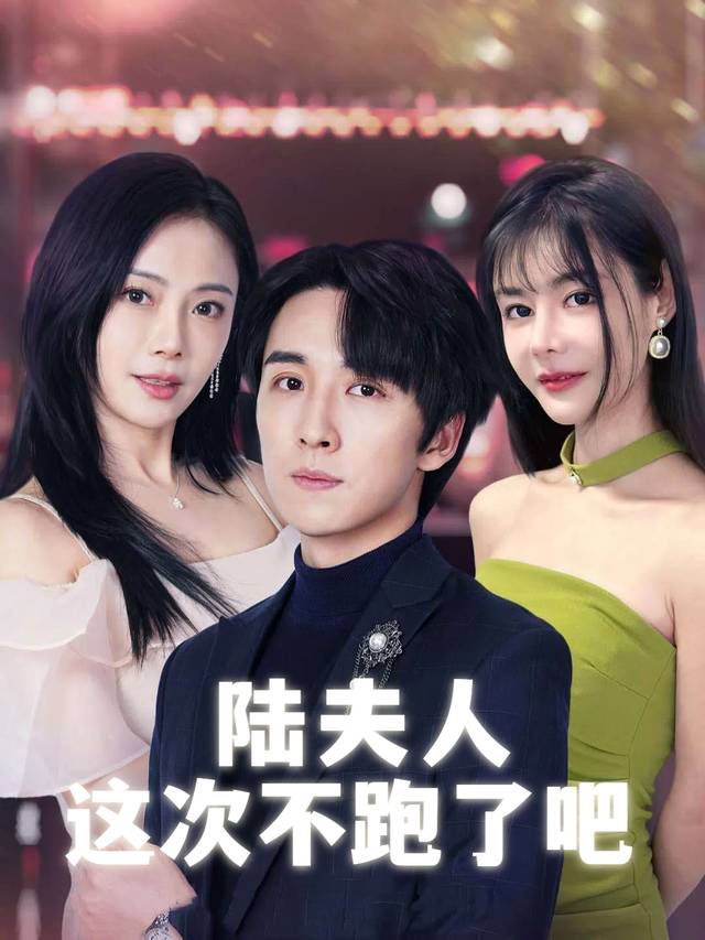 陆夫人这次不跑了吧封面