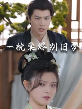 一枕棠烬别旧梦封面