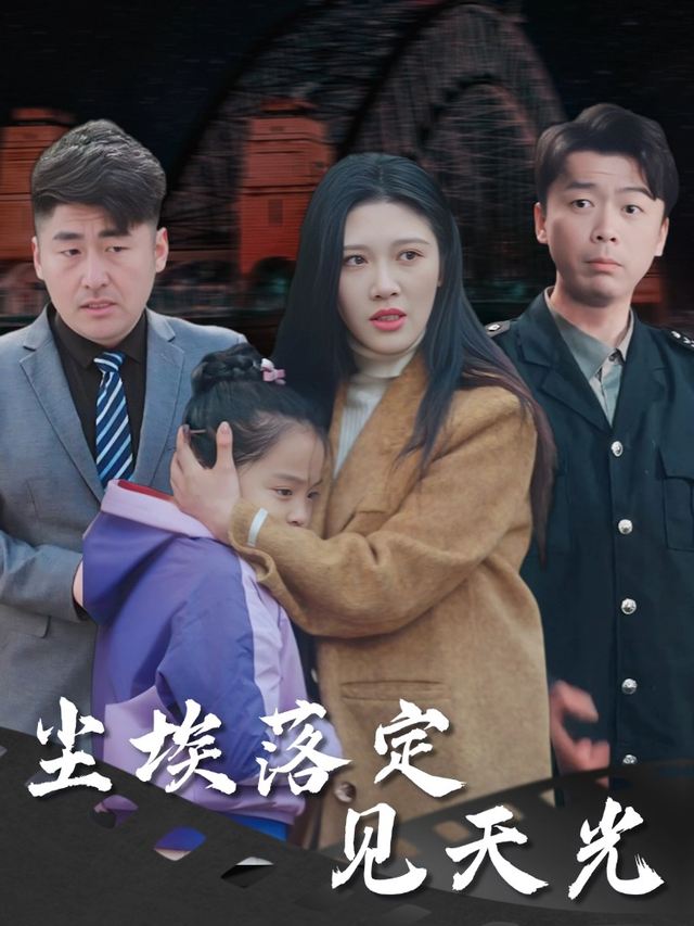 尘埃落定见天光封面