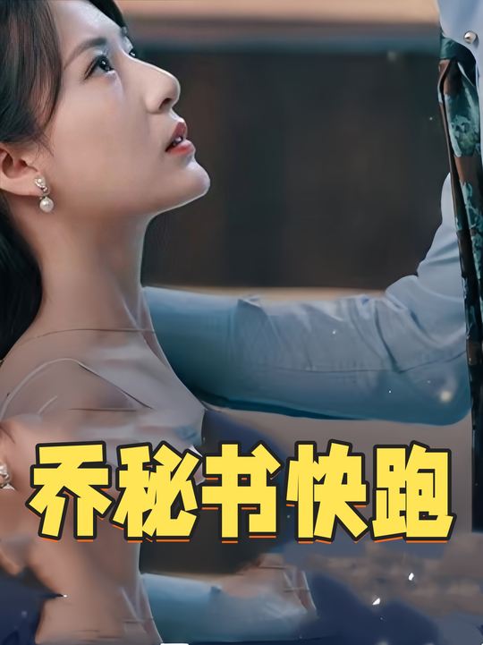 乔秘书快跑封面