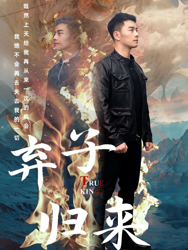 弃子归来封面