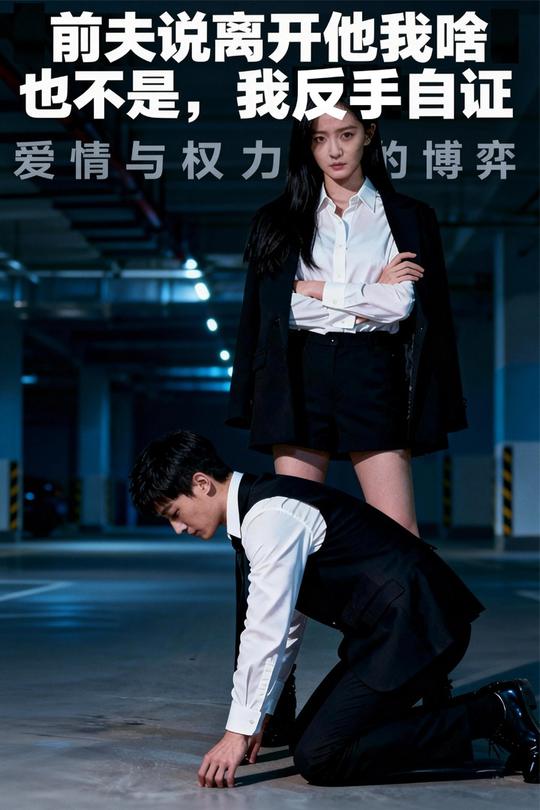 前夫说离开他我啥也不是,我反手自证封面