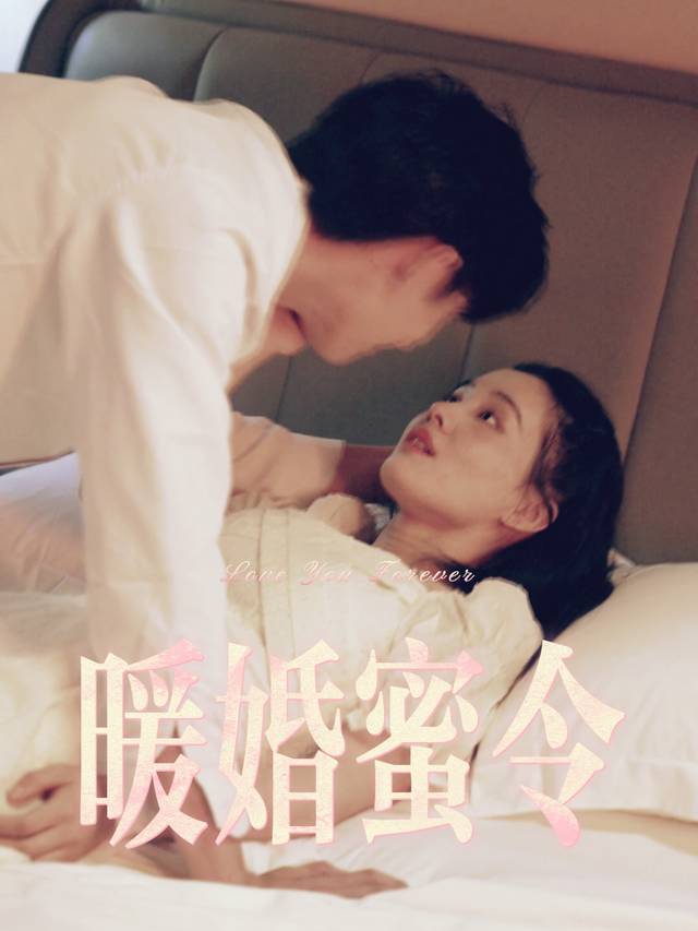 暖婚蜜令封面