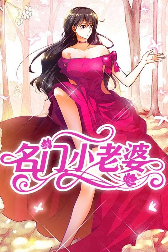 名门小老婆封面