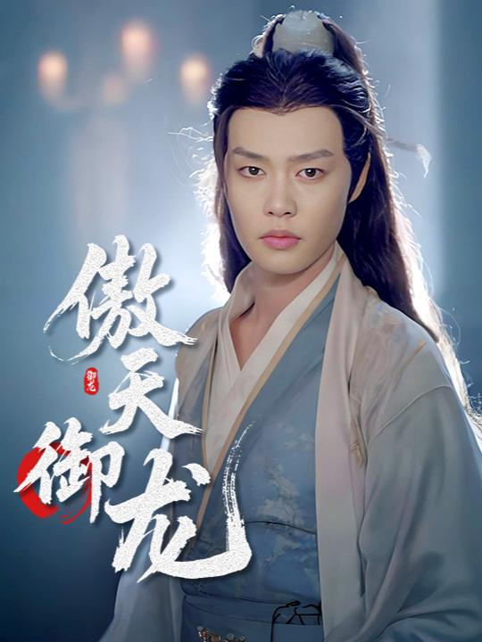 傲天御龙封面