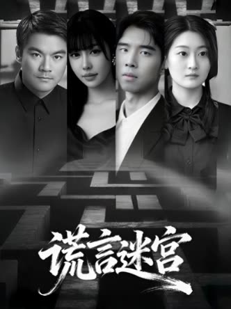 谎言迷宫封面