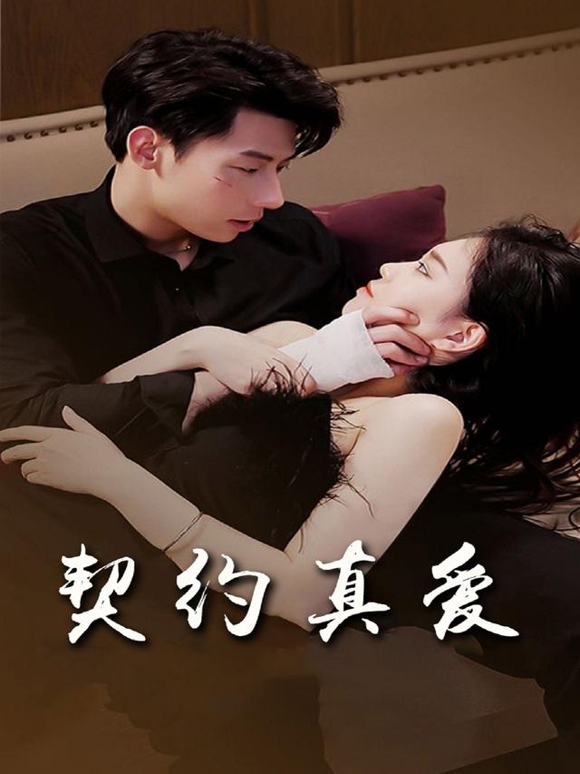 契约真爱封面
