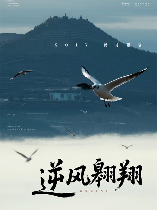 逆风翱翔封面