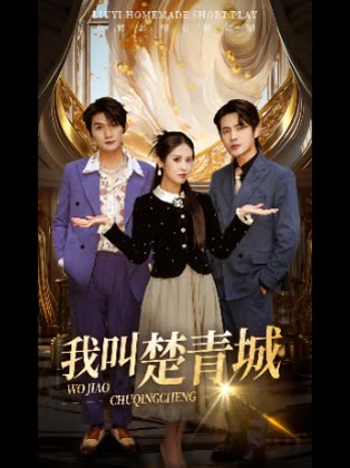 我叫楚青城封面