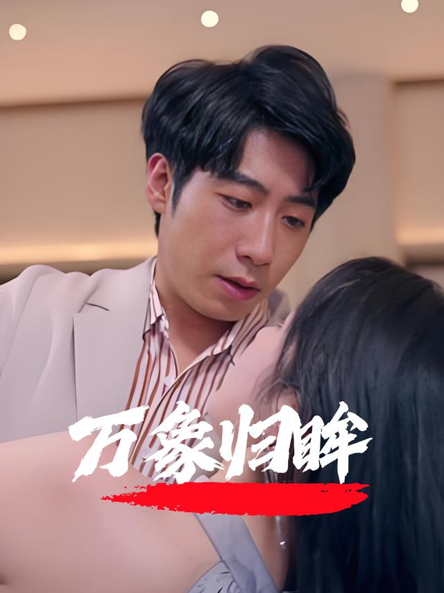 万象归眸封面