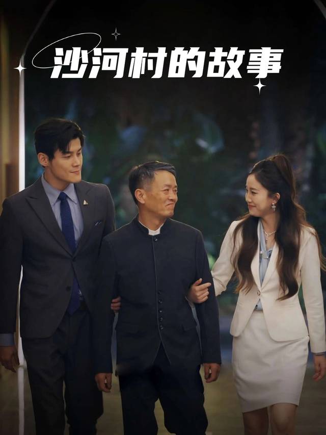 沙河村的故事封面