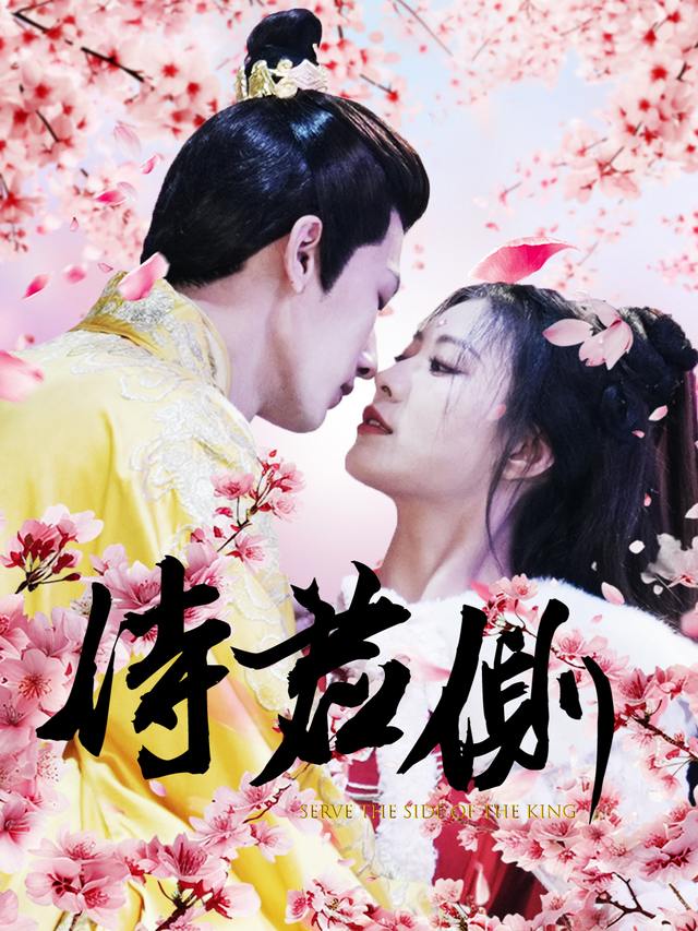 侍君侧封面