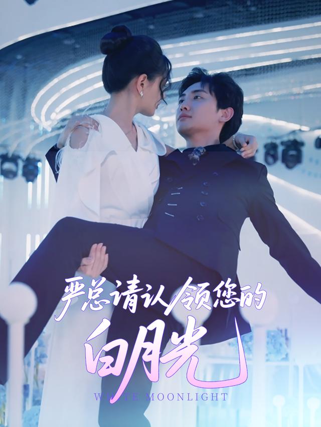 严总,请认领您的白月光封面
