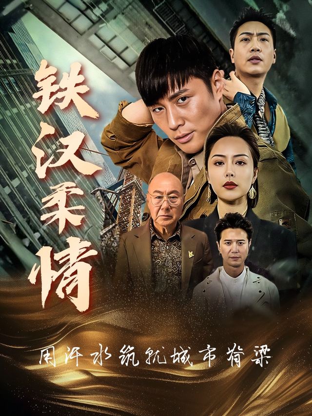 铁汉柔情封面